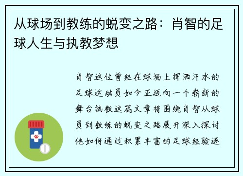 从球场到教练的蜕变之路：肖智的足球人生与执教梦想