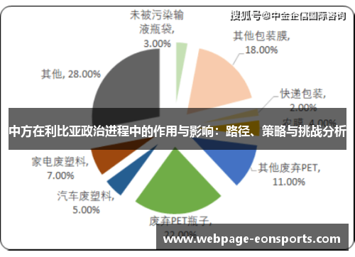 中方在利比亚政治进程中的作用与影响：路径、策略与挑战分析
