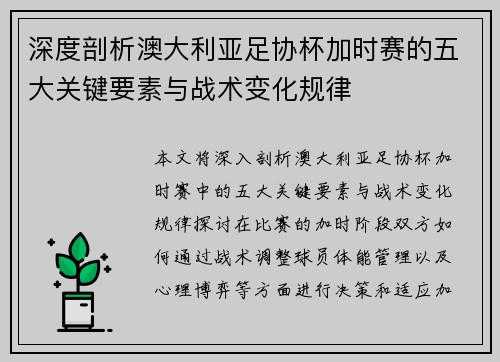 深度剖析澳大利亚足协杯加时赛的五大关键要素与战术变化规律
