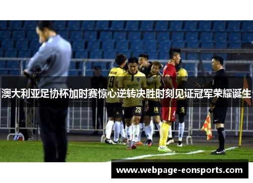 澳大利亚足协杯加时赛惊心逆转决胜时刻见证冠军荣耀诞生