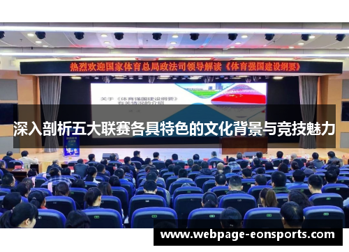 深入剖析五大联赛各具特色的文化背景与竞技魅力 深入剖析五大联赛各具特色的文化背景与竞技魅力